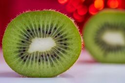 صادرات کیوی از امروز مجاز است