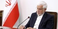 رسایی: فرزند عارف دارای تابعیت دوگانه است