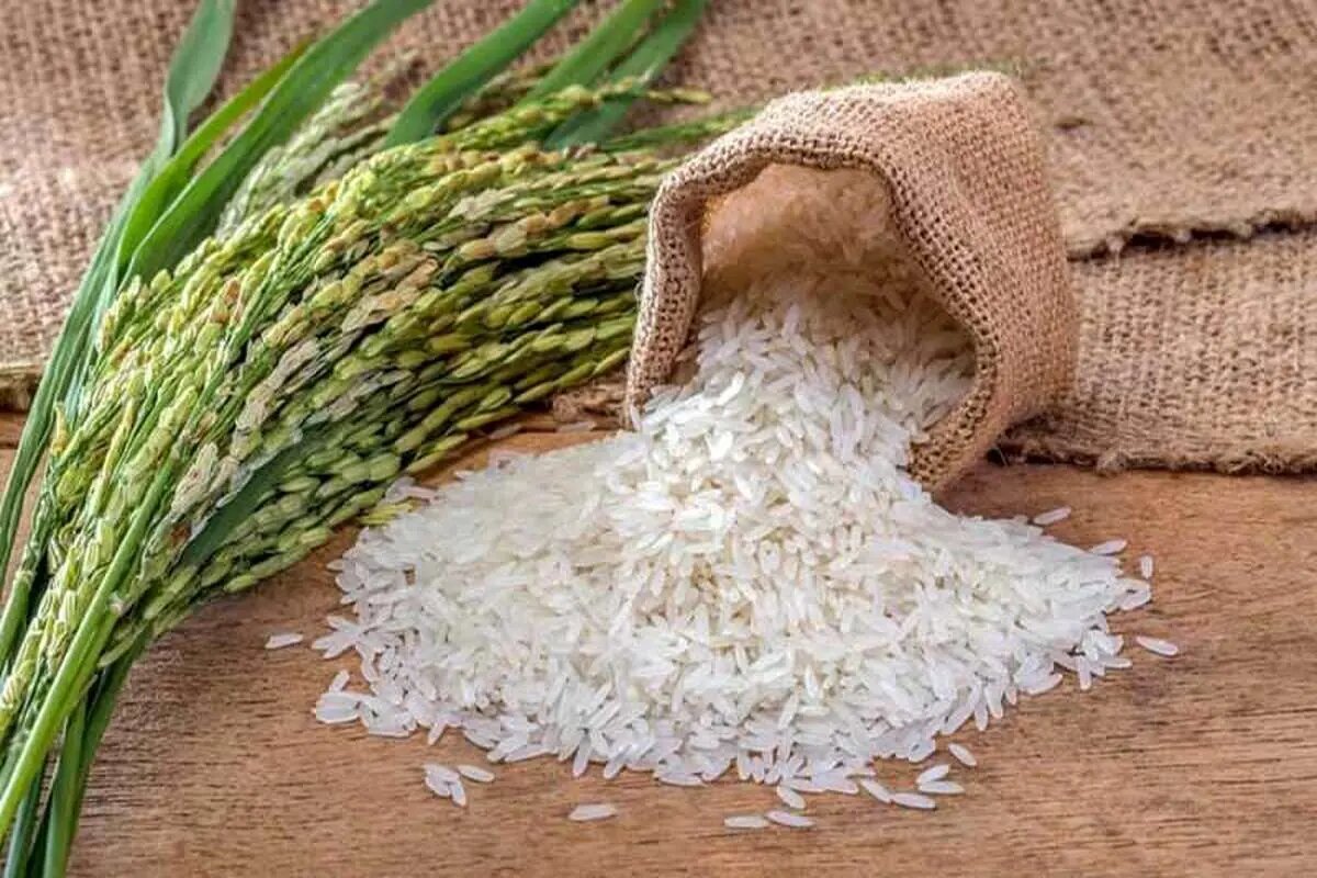 ناجی بازار برنج از راه رسید