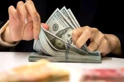 دلار می‌ریزد! رئیس مجمع فعالان اقتصادی: حباب سکه و ارز می‌ترکد! 