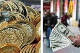 شوک بزرگ در راه است! 20 بهمن 1404: طلا، دلار و سکه چه بلایی سر سرمایه‌تان می‌آورند؟
