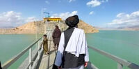 اموال بزرگ ایران در دستان این ۲ افغانی!