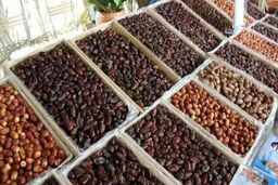 قیمت خرما برای رمضان: جیب‌ها خالی می‌شود؟
