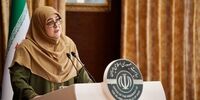بنزین تاکسی‌های اینترنتی و خودروهای نو/ روایت جنجالی سخنگوی دولت!
