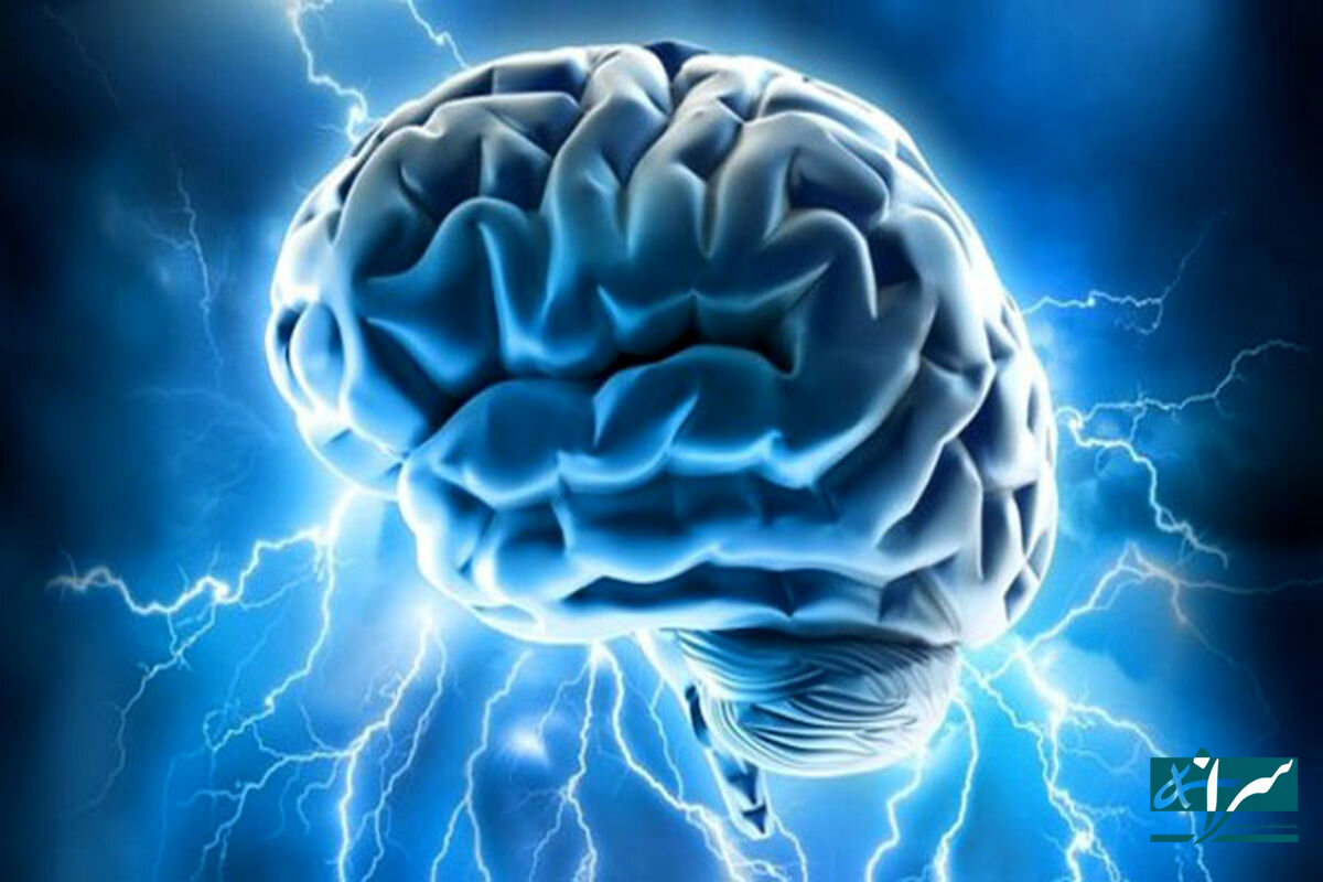 این خوراکی مغز شما را نابود می کند