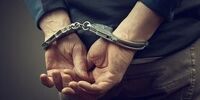 بازداشت یک زن کلاهبردار در پوشش وکیل