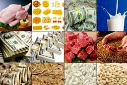 شوک به مافیای رانت: تک‌نرخی شدن ارز، پایان یک امپراتوری یا شروع یک فاجعه؟