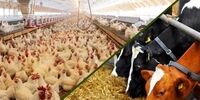 سفیر سودان در مهر: پشت پرده دیدار جنجالی چه بود؟