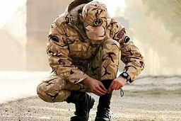 شوک جدید درباره سوابق بیمه‌ای سربازی: حقی که از شما پنهان شده بود!