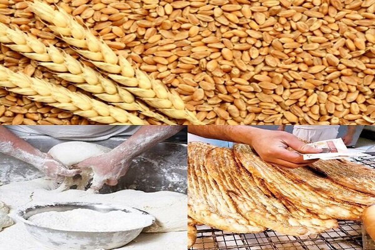 شوک ۲۹ همتی یارانه گندم در بودجه: آیا نان گران می‌شود؟