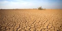 میدری: اخطار جنجالی به کارفرمایان؛ حق بیمه کارگران خط قرمز است!