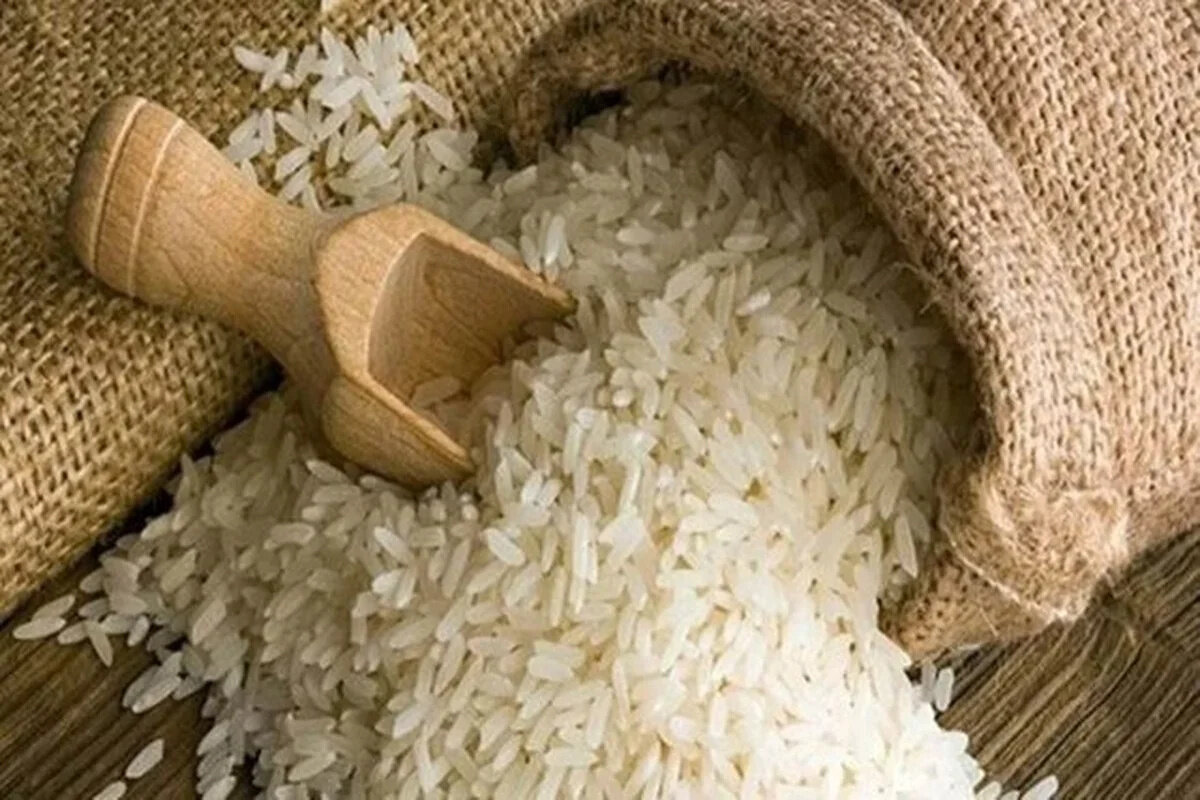 پایان انتظار برای غذا! رویکرد انقلابی سازمان غذا و دارو، گره ترخیص را باز کرد