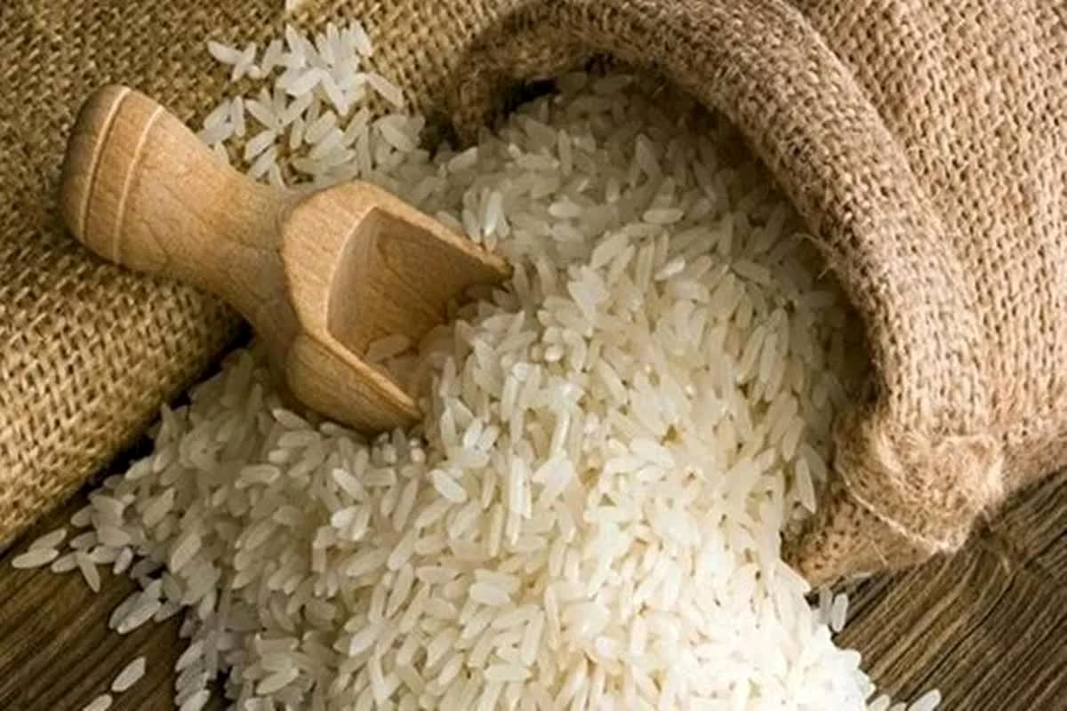 پایان انتظار برای غذا! رویکرد انقلابی سازمان غذا و دارو، گره ترخیص را باز کرد