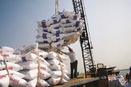 نماینده مجلس افشا کرد: واردات برنج با ارز ۴۲۰۰ تومانی، فروش در بازار با قیمت نجومی!