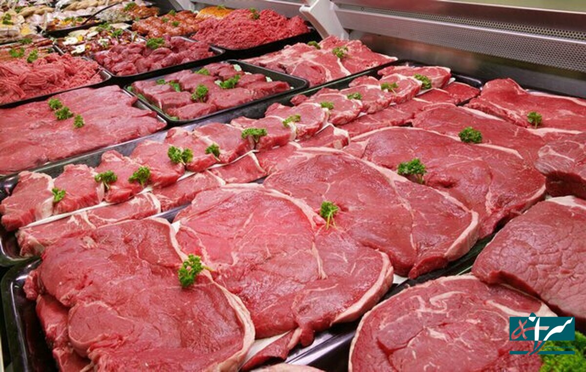 قیمت جدید گوشت قرمز در بازار - ۲ اردیبهشت ۱۴۰۴