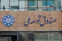 پشت پرده استقراض نجومی دولت از صندوق توسعه ملی در بودجه 1405؛ جیب مردم خالی می‌شود؟