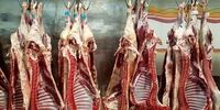 شوکه کننده! قیمت گوشت امروز ۱۳ آذر ۱۴۰۴: آیا باور می‌کنید؟