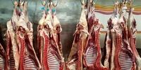 کشف شوکه‌کننده: چرا گوشت ارزان شد ولی کسی نخرید؟