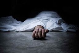 قتل همسایه به علت وجود سوسک