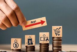 وزارت اقتصاد: بمب انضباط مالی در راه است! گسست از نفت، شلیک نهایی به تورم؟