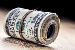 دلارهای خانگی در راه تولید: صندوق‌های ارزی، طلسم شکنی یا فریب؟