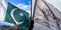 شوک بزرگ در منطقه: جنگنده پاکستانی در ننگرهار سرنگون شد!
