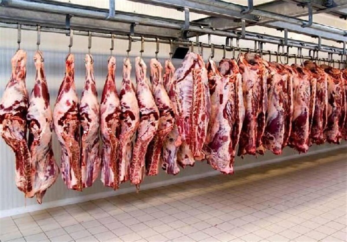 رمزگشایی قیمت گوشت ۲۶ آبان ۱۴۰۴: کدام قشر بیشترین آسیب را می‌بیند؟