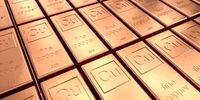 پشت پرده پلتفرم‌های طلای آنلاین در بحران: آیا پولتان بر باد می‌رود؟ / مدیرعامل رازها را فاش کرد!