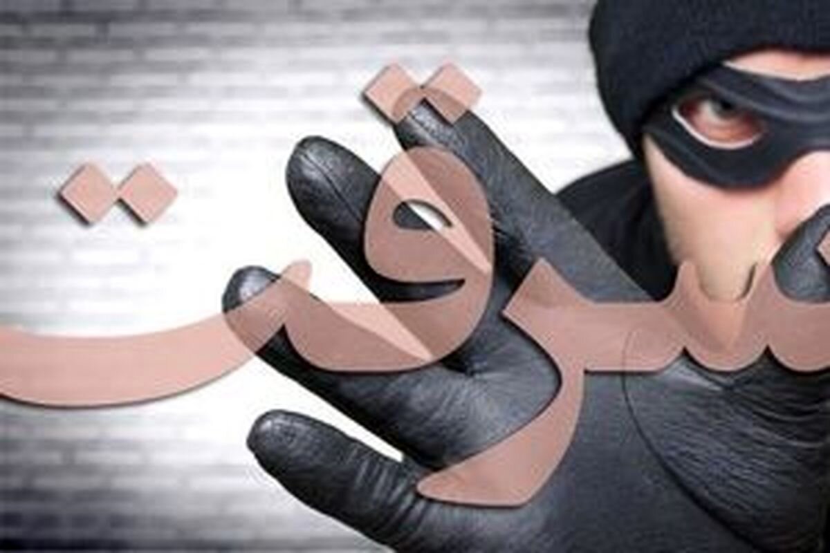 لحظه سرقت خشن در شرق تهران