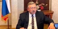 دیپلمات ارشد روسیه: تهدید و زور روی ایران جواب نمی‌دهد