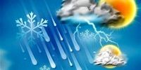 شوکه کننده: ۱۵ هزار میلیارد ریال غرامت به جیب کشاورزان؛ این پول از کجا آمد؟