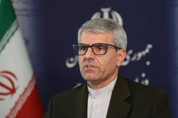 بقائی: بازی ایران در مذاکرات تغییر کرد؛ این بار فقط برای نتیجه!