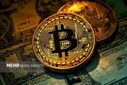 سقوط آزاد ارزهای دیجیتال؛ بیت کوین در گرداب ۱۴ آذر ۱۴۰۴؟