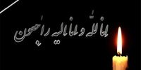 فاجعه در ورزش: حملات دشمن دو ستاره دیگر را به خاک و خون کشید