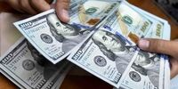 صحبت وزیر اقتصاد درباره قیمت دلار