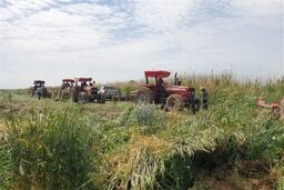 مهمترین خبر سال: هوش مصنوعی خدمات اراضی را متحول کرد! چه بر سر شما می‌آید؟