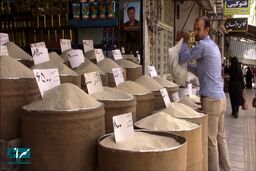 تغییر بزرگ در سیستم قیمت برنج وارداتی / اوضاع دگرگون شد