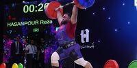 پنبه افغانستان در راه بازار ایران؛ گام بزرگ طالبان برای رونق اقتصادی یا چالش جدید برای تولیدکنندگان داخلی؟