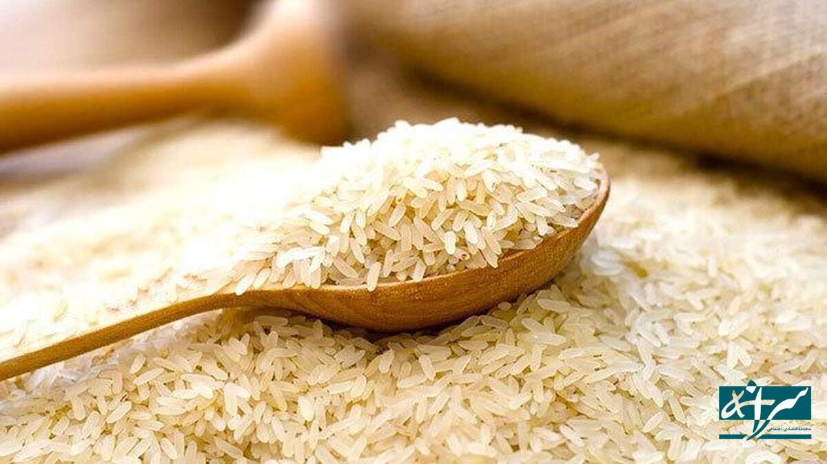 پشت پرده گرانی برنج