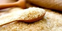 علت افزایش قیمت برنج بالاخره لو رفت