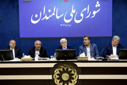 باید احترام به سالمندان در فرهنگ ایرانی و اسلامی، احیا و تقویت شود