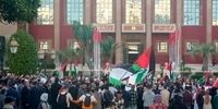 افشاگری شوک‌آور: ۸۷٪ اعراب، نه بزرگ به اسرائیل!