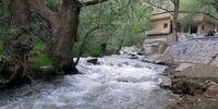 این هشدار را جدی بگیرید 