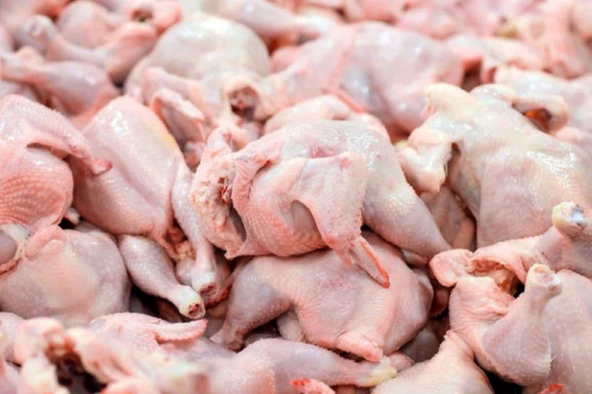مرغ با قیمت جدید به بازار آمد – ۶ مهر ۱۴۰۴