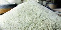 بمب گرانی برنج: پشت پرده افزایش قیمت‌ها چیست؟