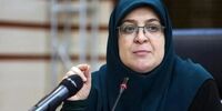 معاون سازمان برنامه شوکه کرد: مردم سالی ۲-۳ بار قدرت خرید خود را از دست می‌دهند، سپس ترمیم!