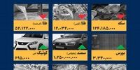 جنجال در ورزش ایران: پژوهشگاه تربیت بدنی و فدراسیون ترای‌اتلون زیر ذره‌بین!