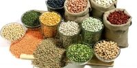 لوبیا چیتی بالاخره ارزان شد