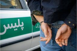 دستگیری شرور مرموز شاهرود