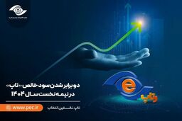سود نجومی تاپ در بحران اقتصادی!
